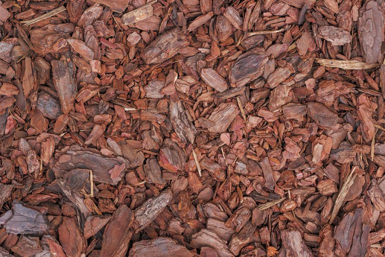 Pine mulch (small wood chips) is used to cover the soil in the garden